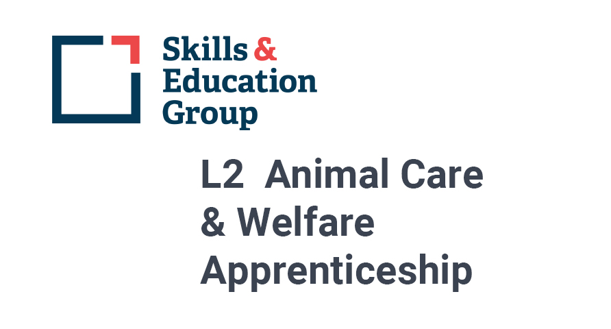Veterinary Nurse Apprenticeships