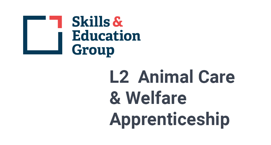 Skills and Education Logo